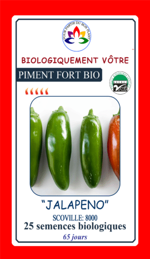 Piment Jalapeno Bio - Pépinière