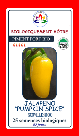 Piment Jalapeno Jaune ‘Pumpkin Spice’ Bio - Pépinière