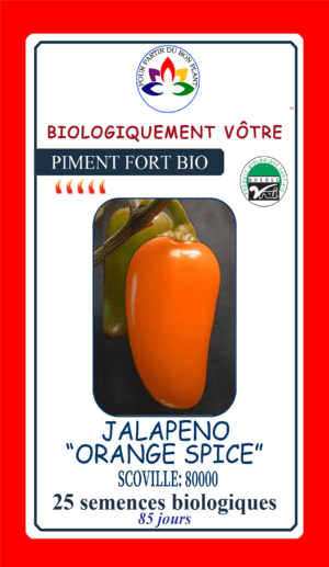 Piment Fort Jalapeno Orange ‘Spice’ Bio - Pépinière
