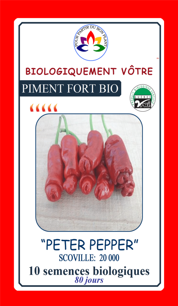 Piment Fort Peter Pepper Bio - Pépinière