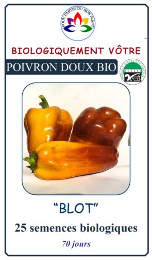 Poivron Doux Blot Bio - Pépinière