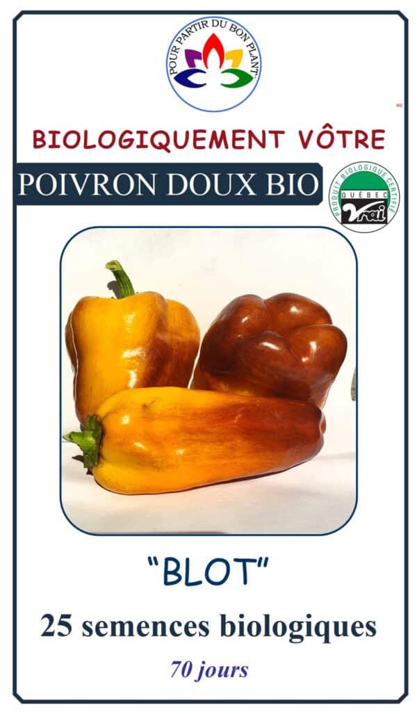 Poivron Doux Blot Bio - Pépinière