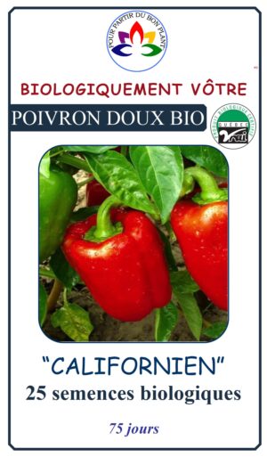 Poivron Doux ‘California Wonder’ Bio - Pépinière