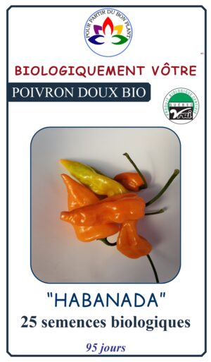 Poivron Doux ‘Habanada’ Bio - Pépinière