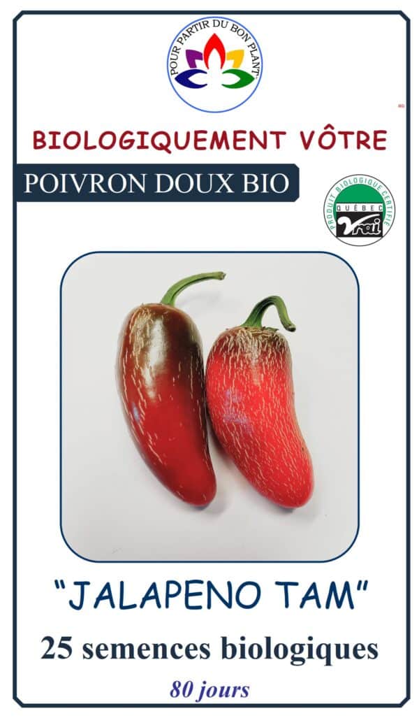 Poivron Doux ‘Jalapeno Tam’ Bio - Pépinière