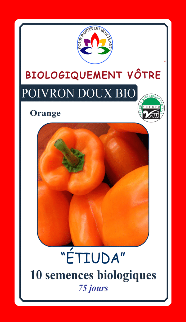 Poivron Doux Orange ‘Étiuda’ Bio - Pépinière