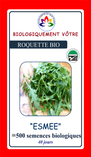 Roquette ‘Esmee’ - Pépinière
