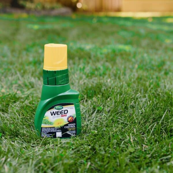 Scotts® / Weed B Gon® / MAX Lawn Herbicide Concentrate - Pépinière