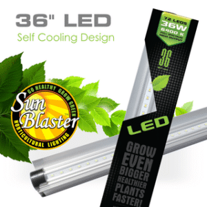 6400K Grow Light / Sunblaster LED Bar 36″, 36W - Pépinière