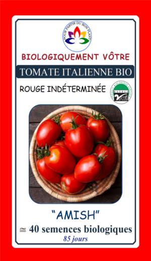 Tomate Italienne Rouge ‘Amish’ Bio - Pépinière