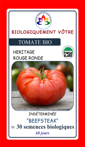 Tomate Rouge Beefsteak Bio - Pépinière