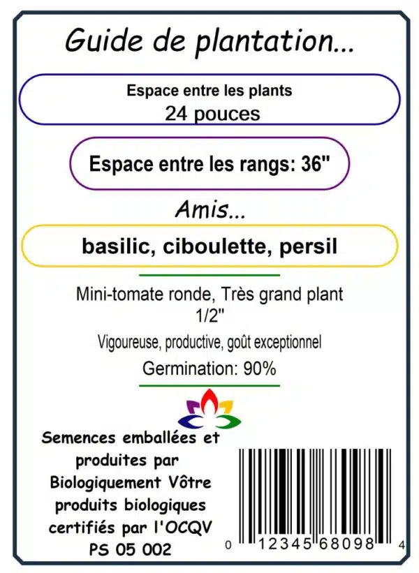 Tomate Cerise Pourpre ‘Black Opal’ Bio - Pépinière