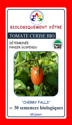 Tomate Cerise ‘Cherry Falls’ Bio - Pépinière