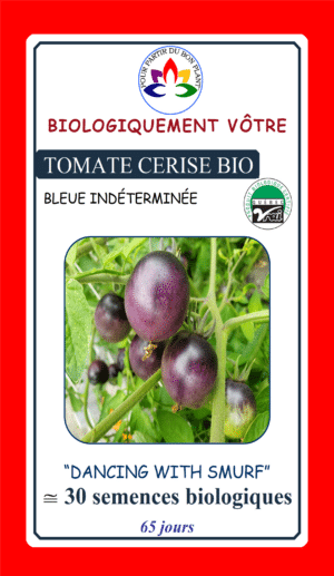 Tomate Bleue ‘Dancing With Smurf’ Bio - Pépinière