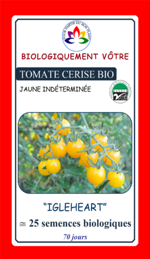 Tomate ‘Igleheart’ Bio - Pépinière