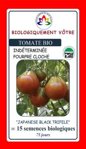 Tomate Pourpre ‘Japanese Black Trifele’ Bio - Pépinière