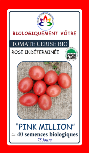 Tomate Cerise Rose ‘Pink Million’ Bio - Pépinière