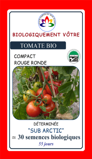 Tomate Cerise Rouge Sub Arctic Bio - Pépinière