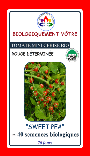 Tomate Mini-Cerise Rouge ‘Sweet Pea’ Bio - Pépinière