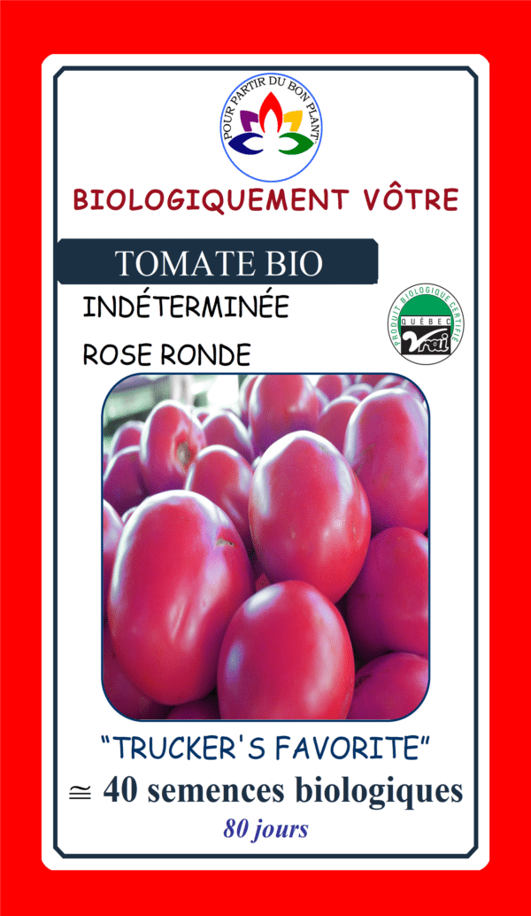Tomate Rose ‘Trucker Favorite’ Bio - Pépinière