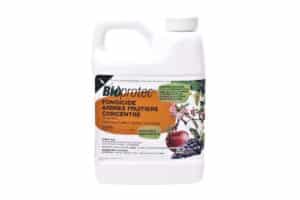BioProtec / Fungicide, Bactericie for Fruit Trees 500ml Concentrate - Pépinière