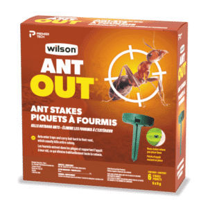 Wilson / Ant Stakes Insecticide (6) - Pépinière